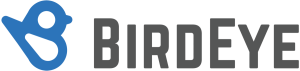 birdeye software logo